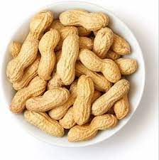 spanish peanut seeds for planting Heirloom Black Peanut Plant Seeds – Early Spanish Peanut (Arachis Hypo – Neeraseeds