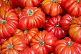 Red Costoluto Tomato Seeds for Planting - 100 pcs