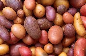 Heirloom Mixed Color Potato Vegetable Seeds for Planting – Non-GMO, High Germination Organic Garden Seeds
