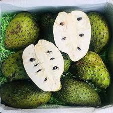 Soursop frugtfrø – kendt for sine sundhedsmæssige fordele 100 stk