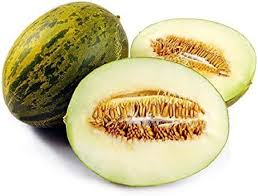 Piel de Sapo Muskmelon Fruit Seeds for Planting – Classic Sweet Melon for Beautiful Home Gardens