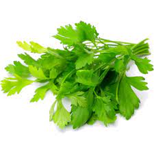 Italian Parsley Herb Seeds Non-GMO Heirloom seeds