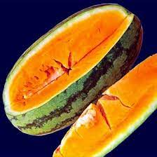 Orange Cantalupo Almizcle Fruit Seeds for Planting - Unique Orange Melon Variety