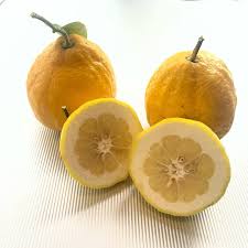 Ponderosa Lemon Fruit  Seeds for Planting - Grow This Aromatic Fruit for Your Garden, Heirloom & GMO Free Seeds