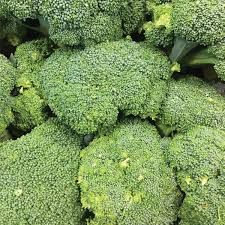 Goliath Broccoli Seeds for Planting – High Yield, Heirloom, Non-GMO Vegetable Seeds for Home Garden