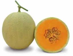 Muskmelon Fruit Seeds for Planting - Sweet and Refreshing Melons for Your Garden, Heirloom & GMO Free Seeds