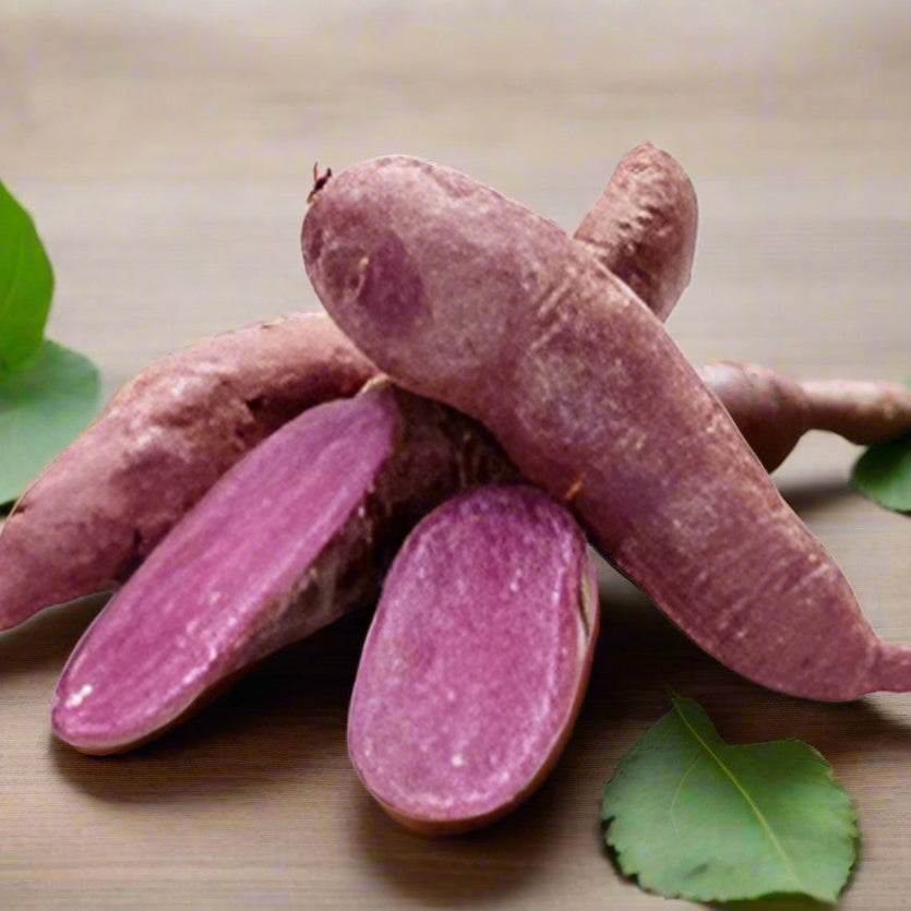 Light Violet Sweet Potato Seeds for Planting-Heirloom & Non-GMO Seeds