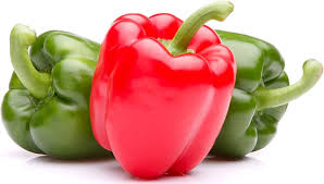 Bell Pepper California Wonder Seeds – High Yield, Sweet &amp; Crisp Heirloom Variety