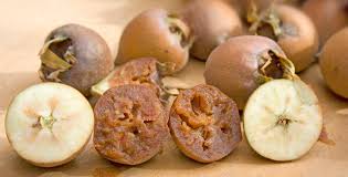 Brown Medlar or Mespilus germanica Fruit Seeds for Planting - Heirloom and GMO Free Seeds for your Home Garden