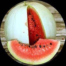 Rare Watermelon " Snow White " Fruit Seeds for Planting - Perfect for Delicious Summer Celebrations