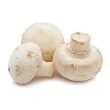 Button Mushroom Seeds for Planting - heirloom & Non-GMO Seeds