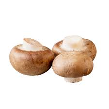 Cremini Champignon (Baby Bella) Frø til udplantning - 100 stk