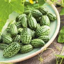 Cucamelon Seeeds (Green Scabra) Vegetable Seeds for Planting heirloom & Non-GMO Seeds