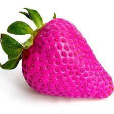 Pink Strawberry Fruit Seeds for Planting - Ideal for Home garden, Heirloom Seeds, GMO free