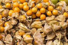 Ground Cherries Vegetable Seeds for Planting - 100 pcs