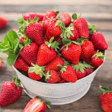 Japanese Hokowase Strawberry Fruit Seeds for Planting -  Sweet, Early-Season Harvests, Heoirloom Seeds