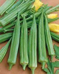 Cajun Delight Okra Seeds for Planting - Fresh Vegetable 100 pcs