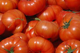 Striped Cavern Tomato Vegetable Seeds for Planting - 100 pcs