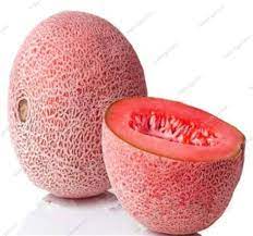 Melon Lesya Seeds for Flavorful and Unique Fruit Varieties  100 pcs