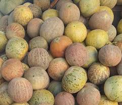 Honey Dew Melon Fruit Seeds for Planting - Sweet and Rare Melon Seeds for Gardens, Heirloom Seeds