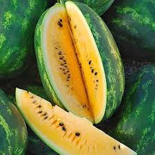 Yellow Watermelon Fruit Seeds for Planting - Growing Sweet and Vibrant Watermelons, Heirloom Seeds