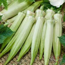 Blondy Okra Seeds for Planting - 100 pcs