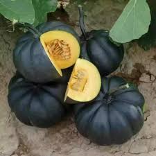 Black Pumpkin Vegetable Seeds for Planting - 100 pcs