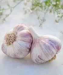 Purple White Garlic Seeds for Planting - Heirloom & Non-GMO Seeds