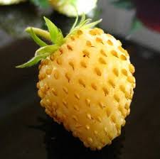 Yellow Strawberry Fruit Seeds for Planting – Sweet and Juicy - Heirloom & non GMO seeds