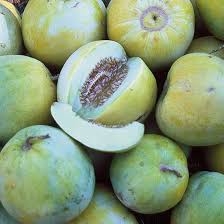 Heirloom Sakata's Sweet Melon Fruit Seeds – Grow Sweet and Juicy Melon at your Home Garden