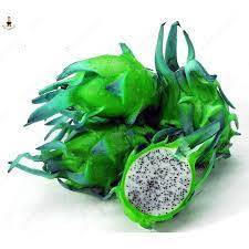 Green Pitaya Fruit Seeds for Planting - Extra-Large & Flavorful Pitaya Variety