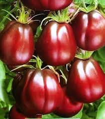 Black Krim Tomato Vegetable Seeds for Planting – 100 pcs