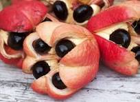 Ackee Fruit Seeds for Garden Planting – Exotic Tropical Non-GMO Heirloom Seeds