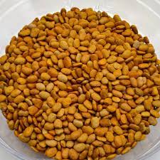 Brown Tepary Bean Seeds for Planting - Healthy Vegetable 100 pcs