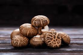 Shiitake Mushrooms Seeds for Planting,100 pcs