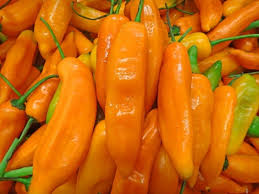 Aji Amarillo Vegetable Seeds for Planting heirloom & Non-GMO Seeds