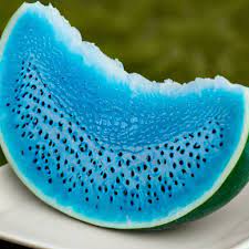 Sky Blue Watermelon Fruit Seed for Planting - Easy to Grow & High-Yielding Variety