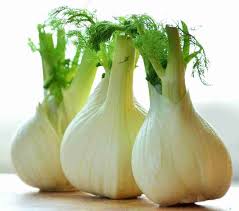 Florence Fennel Seeds for Planting - heirloom & Non-GMO Seeds