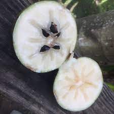 White Star Apple Fruit Seeds for Planting - Pack for Sweet, Tropical Fruit Harvest