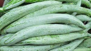 Green Serpent Gourd Vegetable Seeds for Planting, heirloom & Non-GMO Seeds