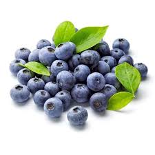 Blueberry Fruit Seeds for Planting - Delicious Berry Harvests, Organic Seeds for Planting