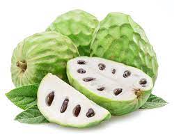 Cherimoya (Annona cherimola) or Ice Cream Fruit Seeds for Planting - Variety of Apple Trees for Homegrown Apples