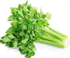 Utah Celery Seeds for Planting - 100 pcs