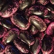 Scarlet Bean Seeds for Planting - 100 pcs