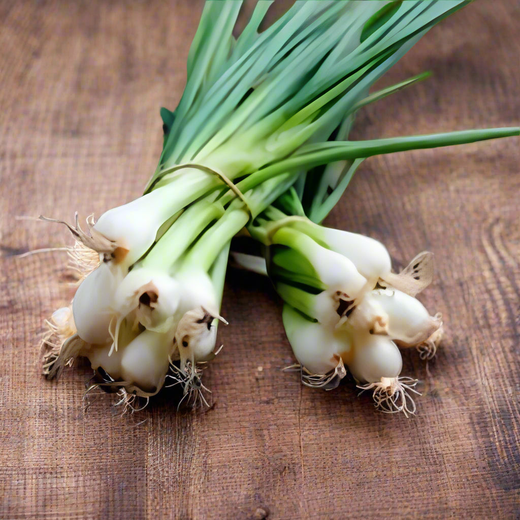 Green Spring Onions (Scallions)  Vegetable Seeds for Planting - 100 pcs