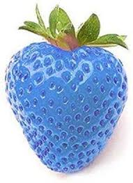 SkyBlue Strawberry Fruit Seeds for Planting - Growing Flavorful and Vibrant Berries, GMO free