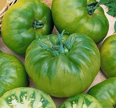 Green Cherokee Tomato Seeds for Planting heirloom & Non-GMO Seeds