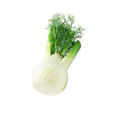 Florence Fennel Seeds for Planting - heirloom & Non-GMO Seeds