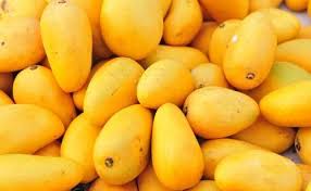 Ataulfo (Honey Mango, Mexico) Fruit Seeds - Exotic Fruit Tree for Your Garden, Heirloom Seeds