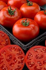 Phoenix Hybrid Tomato Seeds for Planting heirloom & Non-GMO Seeds